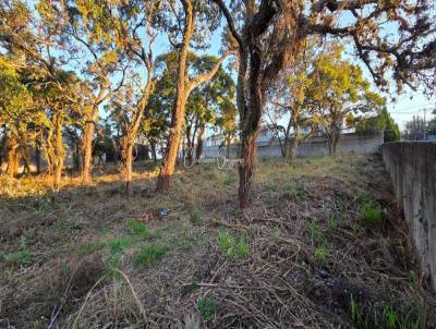 Terreno Residencial para Venda, em Atibaia, bairro Vila Giglio/Vila Esp�ria